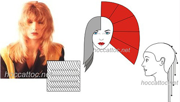 Cắt tóc nữ nâng cao